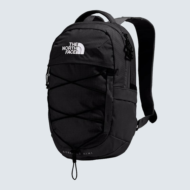 The North Face Borealis Mini Backpack