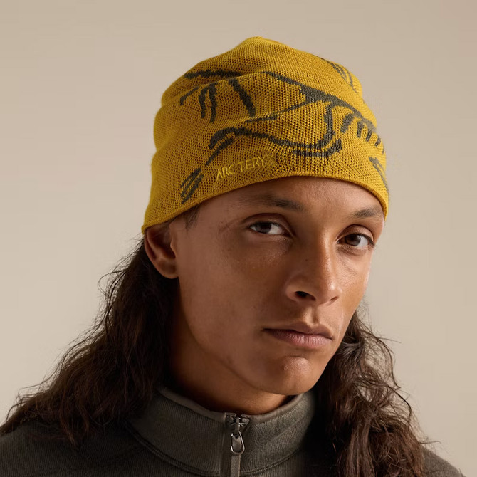 Arc'teryx Bird Head Toque