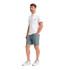  The North Face Men's Sprag Short 