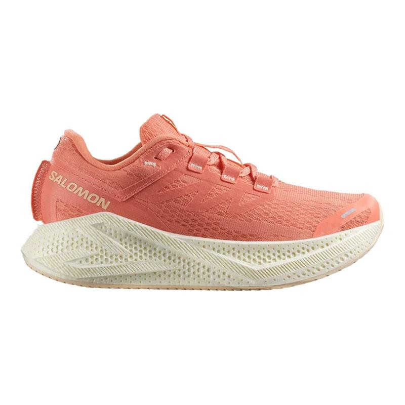 Salomon Shoes Salomon Women's Aero Glide 3 
