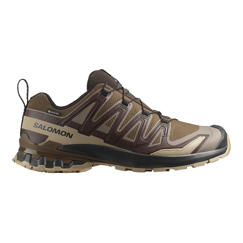 Salomon Men's XA Pro 3D V9 GTX