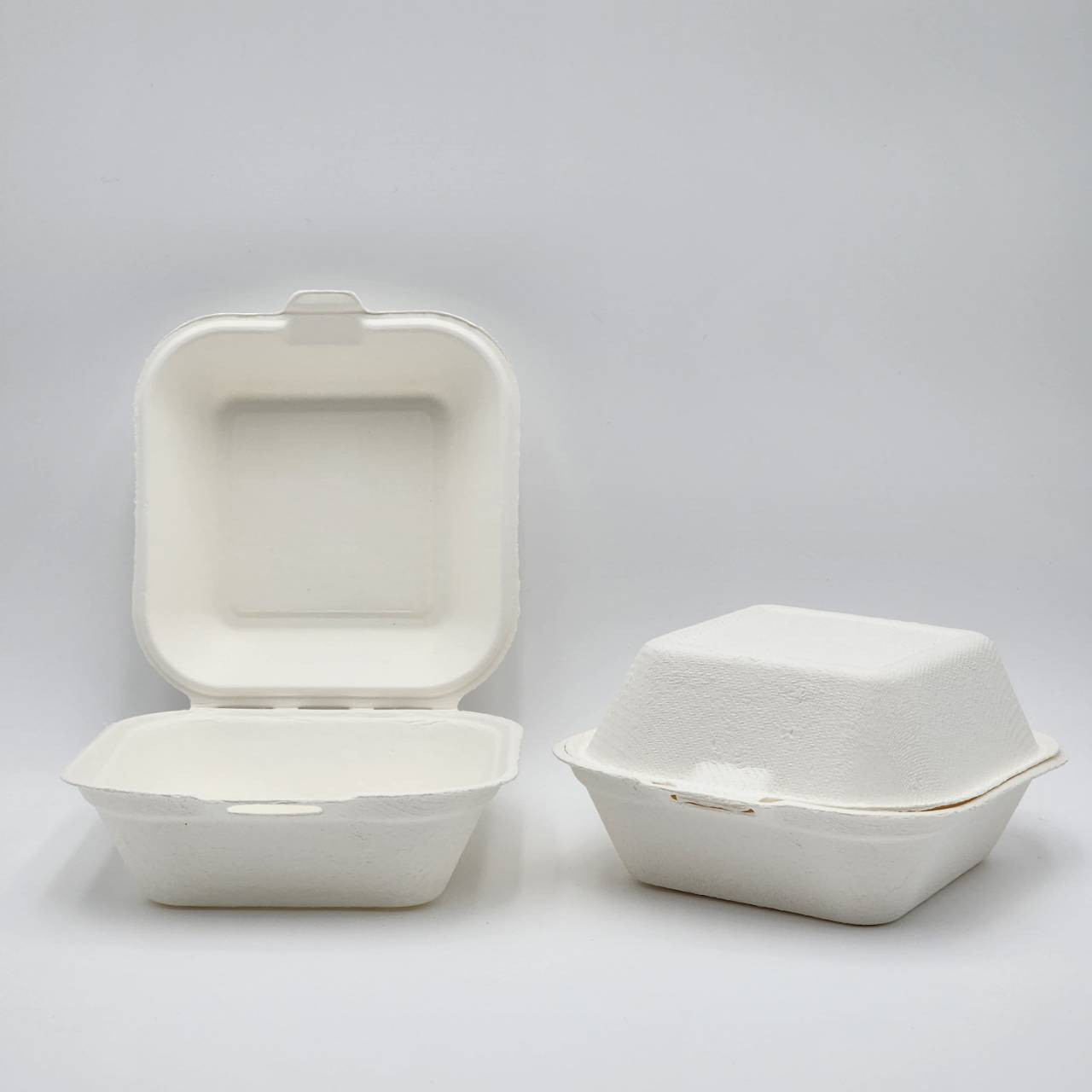 Renewable Compostable 6"x6" Take-Out Container