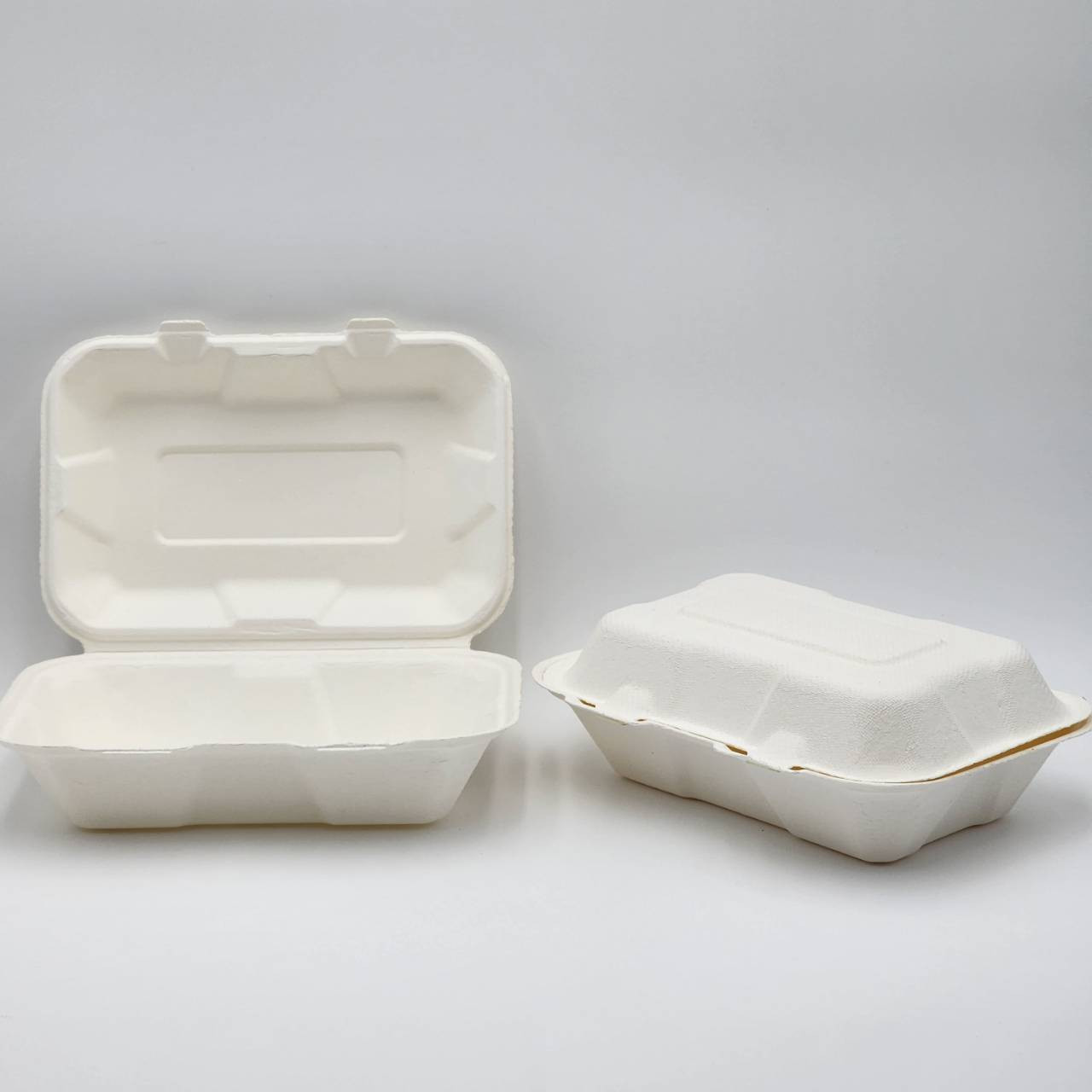 Renewable Compostable 9"x 6" Take-Out Container