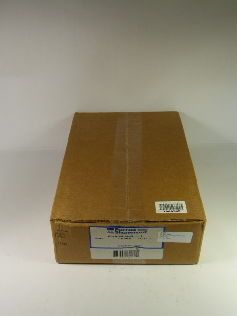 Ferraz Shawmut A480R36R-1 Current Limiting Fuse 5.08KV 2400V/4800V  NEW