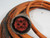 Allen-Bradley 2090-CPWM7DF-10AF12 Ser. A Power Cable 12m *Some Damage* USED