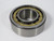 FAG NJ2310-E-M1-C3 Cylindrical Roller Bearing 50mm ID 110mm OD 40mm W NEW