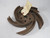 Generic K411858-200 5-Vane Impeller for Pump USED