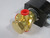 Asco EF8320G184 Solenoid Valve 1/4" NPT 120V@60Hz 110V@50Hz SHELF WEAR NOP