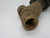 Asco 8290A385 Angle Body Piston Valve 2/2 NC 3/4" NPT 150 psi SHELF WEAR USED