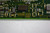 Zeiss 608093-9103-0303 PC Board  USED