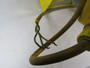 Woodhead 1691-12 Industrial Incandescent Hand Lamp w/ Cord Reel 117VAC   USED