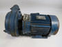 Darling Duro 1CW Centrifugal Pump C/W Leroy-Somer AC Motor PEELING PAINT USED