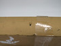 Parker K220AA Oil-XPlus Replacement Air Filter *Damaged/Open Box* NEW
