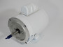 US Motors 1/3HP 1725RPM 115/208-230V 56J ODP 1PH 60Hz SHELF WEAR WHITE NOP