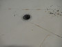 Fisher Scientific 13-245-630F Isotemp Oven 115V 7.4A 60Hz 3.1 cu ft USED