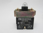 Raas Controls RB2-BV6 Pilot Light Body 130V 2.6W 110V BOX DAMAGE 10-Pack NEW