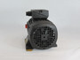 Oiltech 5860023 Oil Pump C/W VEM Motor 0.75kW 1710RPM 570V TEFC 60Hz 1.5A USED