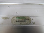 Numatics UNP63NNEN UN Series Power Clamp w/o Arm 63mm Bore 1/4"NPT USED