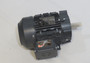 TechTop BLA.254FP-C Motor 1/4HP 1750rpm 575V 56C TEFC 3Ph 0.44FLA 60Hz NOP