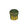 Manifold drain plug - new style, # RS3533A