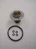 THERMOSTAT KIT - ZZ8