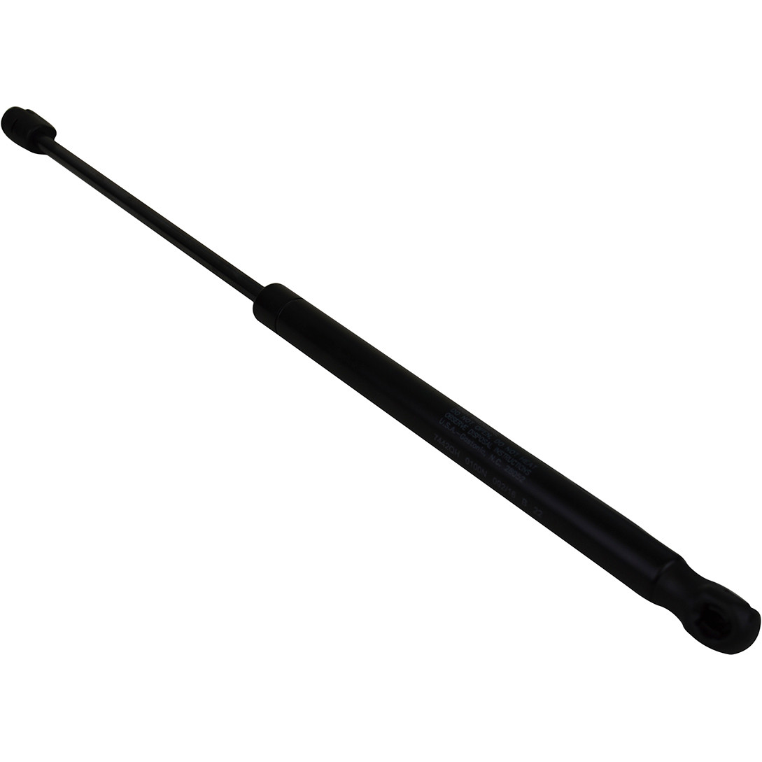 Gas Shock Ski Locker/hatches - 17.2