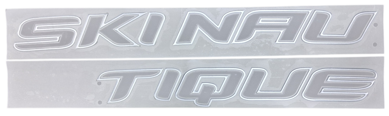 DECAL SKI NAUTIQUE (200s) DOMED
