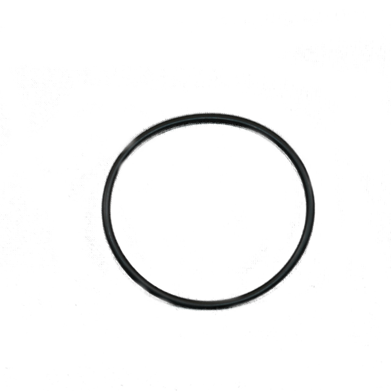 O Ring, Thermostat Housing, PCM