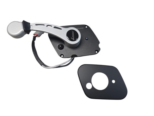 PCM Livorsi EEC control