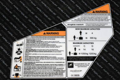 Fire Code Signs Maxcap DECAL MAX CAP PERSONAL INJURY W/ FIRE EXTINGUISHER P25 CE