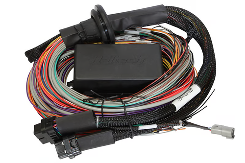 Elite 1500, 2500 & 2500 T Premium Universal Wire-in Harness - 3M Length: 3M (9.8')