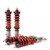 Skunk2 Pro S-II Coilovers 92-95 Civic 94-01 Integra