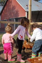 McDonald's Farm
