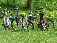 5 Timeless Ways to Celebrate Spring with Family 5 Timeless Ways to Celebrate Spring with Family
