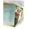Close-up view highlighting Emily Rosewood, her owl companion, books, typewriter, and charming library details.