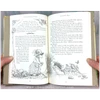 These fantasy illustrations offer a glimpse inside the book, bringing its beloved animal characters, enchanted woodland settings, and unfolding adventure to life.