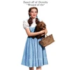 Photo reference of Dorothy from Wizard of Oz.