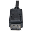 Close-up view of the black molded male DisplayPort (M) connector tip on the 6ft Tripp Lite adapter cable (P582-006), highlighting the 'DUAL-MODE' text and DP++ logo printed on the housing, isolated on a white background.