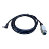 Close-up view of the dual-port connection end on the Verifone CBL445-040-02-A cable, highlighting the blue-accented terminal interface plug alongside a coiled black cable and right-angle power barrel tip.