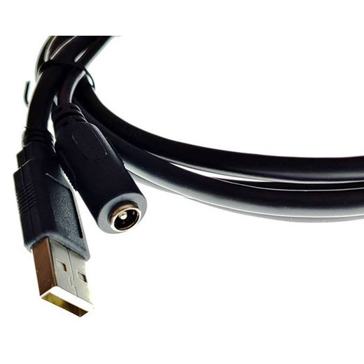Ingenico 296114303AD USB Powered Cable for Credit Card Readers - 13 Ft. - Tip