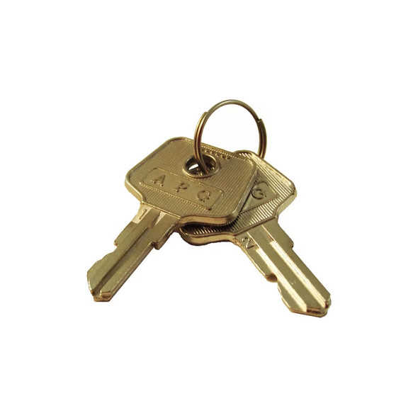 A pair of brass-colored APG cash drawer keys attached to a small circular keyring, set against a plain white background. The top key clearly displays the embossed "APG" manufacturer logo on its rectangular bow.