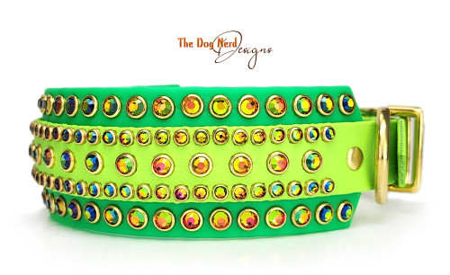 Colour-Changing Rainbow Royal on Apple Green with Wide Neon Green Border Colour-Changing Rainbow Royal on Apple Green with Wide Neon Green Border