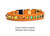 Breakaway Cat Collar