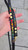 5' Rainbow Bling Leash on Black