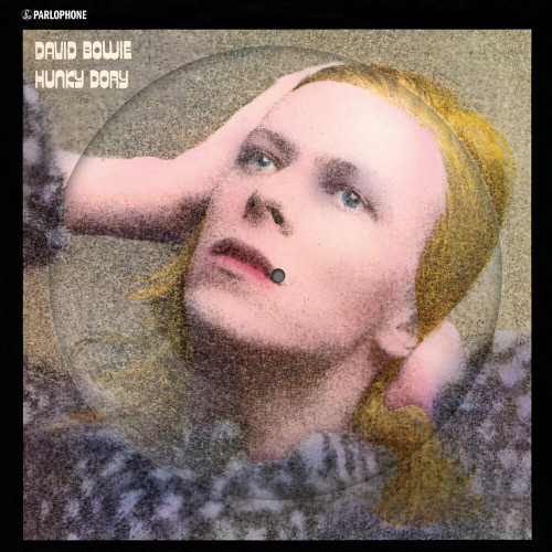 David Bowie - Hunky Dory - 2015 Remaster 50th Anniversary Picture Disc - LP