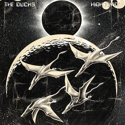 Ducks, The (Neil Young) - High Flyin' - 3xLP