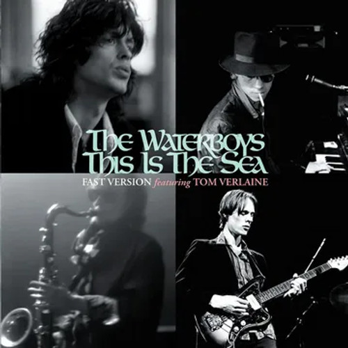 Waterboys, The - This Is The Sea (Fast Version) - 10" Single