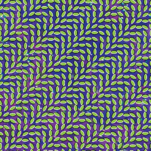 Animal Collective - Merriweather Post Pavilion - 15th Anniversary Blue & Green Vinyl - 2xLP