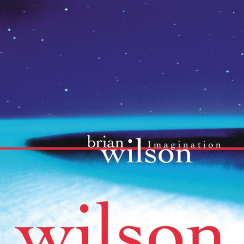 Brian Wilson - Imagination - LP