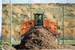 Pronar MBA 4512g Windrow Turner Pronar MBA 4512g Windrow Turner